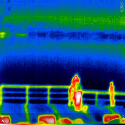 Infrared Object Detection using YOLOv5 Object Detection Dataset by ...
