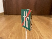 Dataset Image