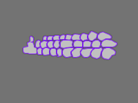 Annotation Visualization