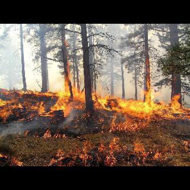 fire and smoke Object Detection Dataset by Fire Detector