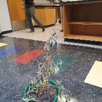 Dataset Image