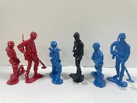 Dataset Image