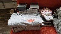 Dataset Image