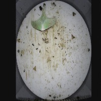 Insects Identification Object Detection Dataset And Pre Trained Model