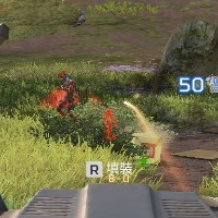Dataset Image