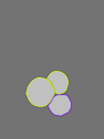 Annotation Visualization