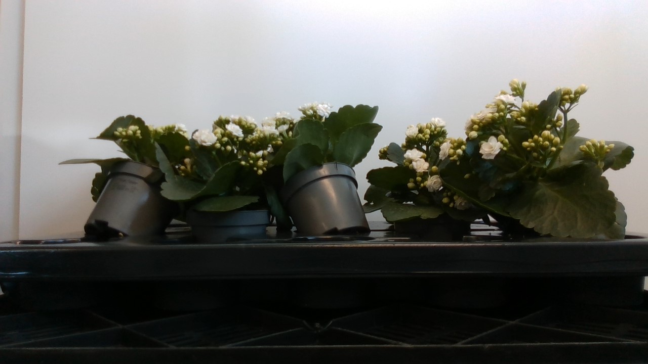 Module: 2.1 Seperator System Object Detection Dataset and Pre-Trained ...