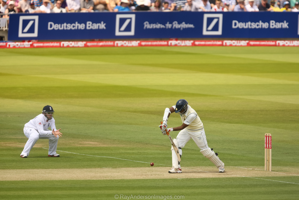 iisc_cricket Classification Dataset and PreTrained Model by avni