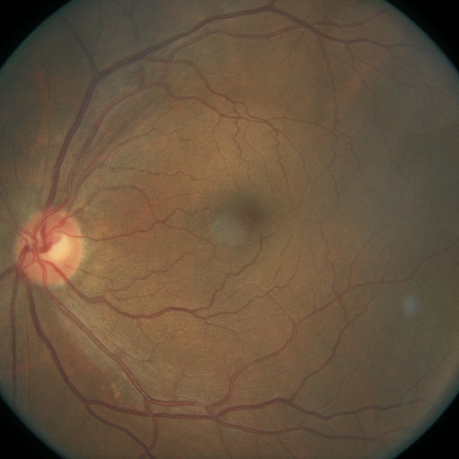 eyes Classification Dataset by GA Capstone