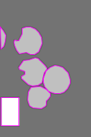 Annotation Visualization