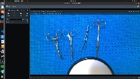 Dataset Image
