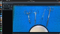 Dataset Image