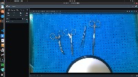 Dataset Image