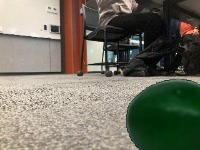 Dataset Image