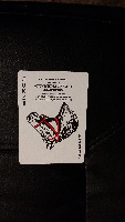 Dataset Image
