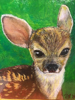 Dataset Image