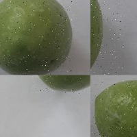 Dataset Image