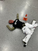 Dataset Image