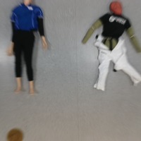 Dataset Image