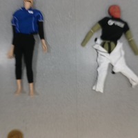 Dataset Image
