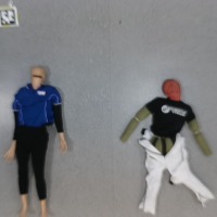 Dataset Image