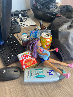 Dataset Image